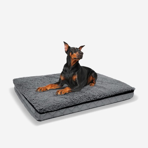 25D Orthopedic Sponge Dog Pad