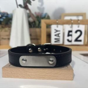 Waterproof Custom Engraved Pet Collar