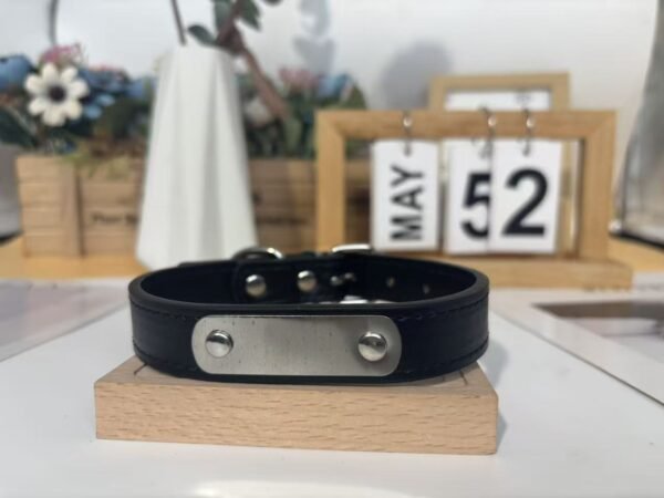 Waterproof Custom Engraved Pet Collar