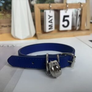coloful pet collar