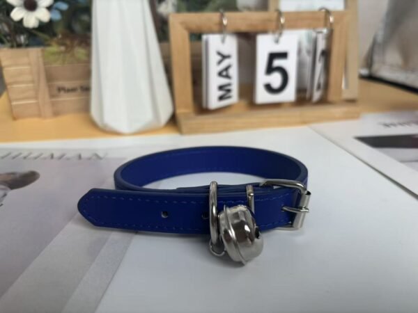 coloful pet collar