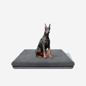 25D Orthopedic Sponge Dog Pad