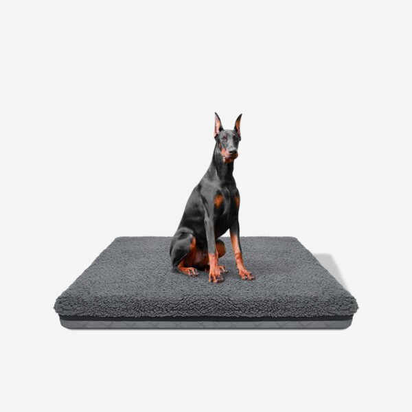 25D Orthopedic Sponge Dog Pad