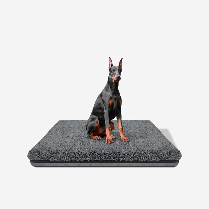 25D Orthopedic Sponge Dog Pad