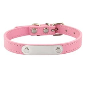 Personalized Pet Collar with ID