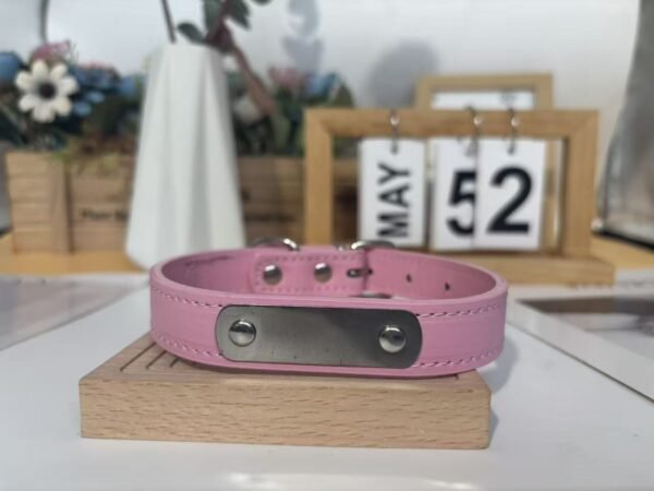 Waterproof Custom Engraved Pet Collar