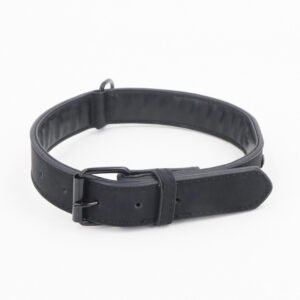 Matte Anti-Lost Dog Collar