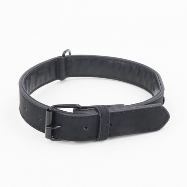 Matte Anti-Lost Dog Collar