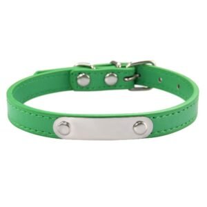 Personalized Pet Collar with ID
