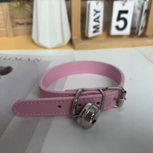 Color Block Dog Collar