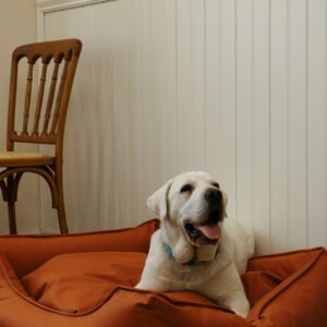 Waterproof Faux Leather Dog Bed