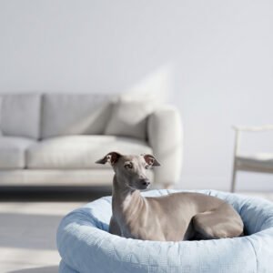 Summer Cooling Orthopedic Pet Bed