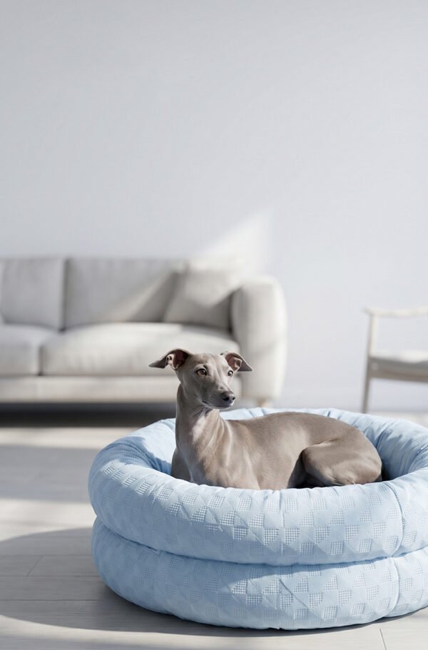 Summer Cooling Orthopedic Pet Bed