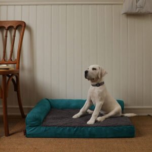 Orthopedic 25D High-Density Sponge Pet Bed