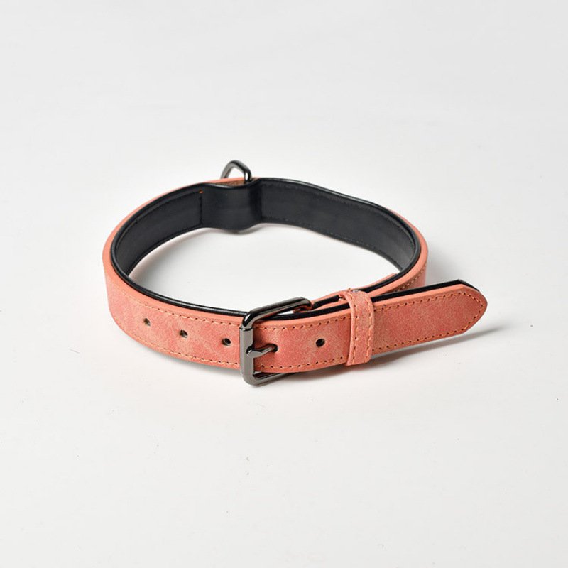 Matte Anti-Lost Dog Collar - Image 4