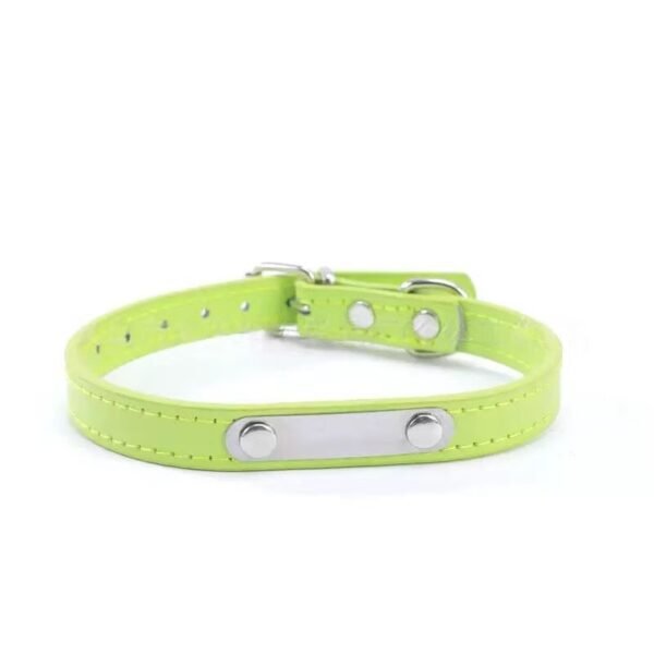 Waterproof Custom Engraved Pet Collar