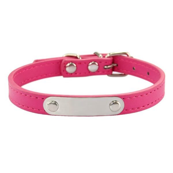 Personalized Pet Collar with ID