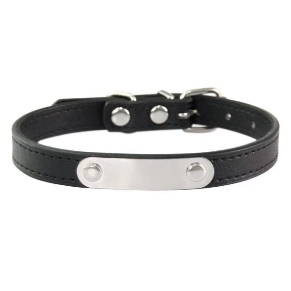 Personalized Pet Collar with ID
