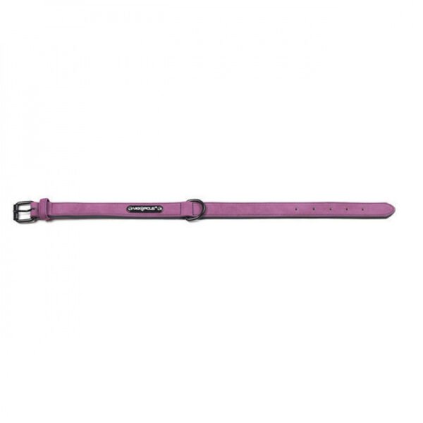 Matte Anti-Lost Dog Collar