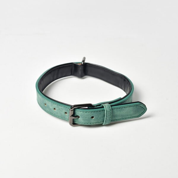 Matte Anti-Lost Dog Collar