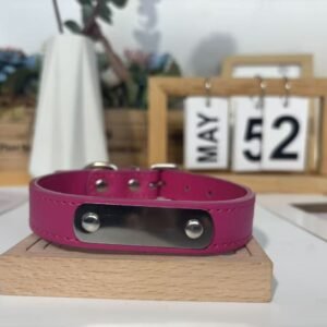 Waterproof Custom Engraved Pet Collar