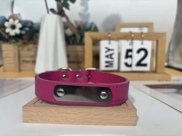 Waterproof Custom Engraved Pet Collar