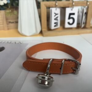 Color Block Dog Collar