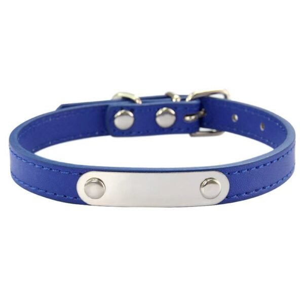 Personalized Pet Collar with ID